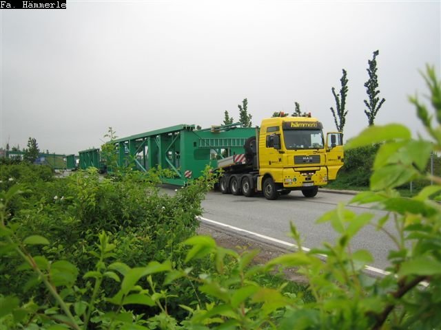IMG 0290