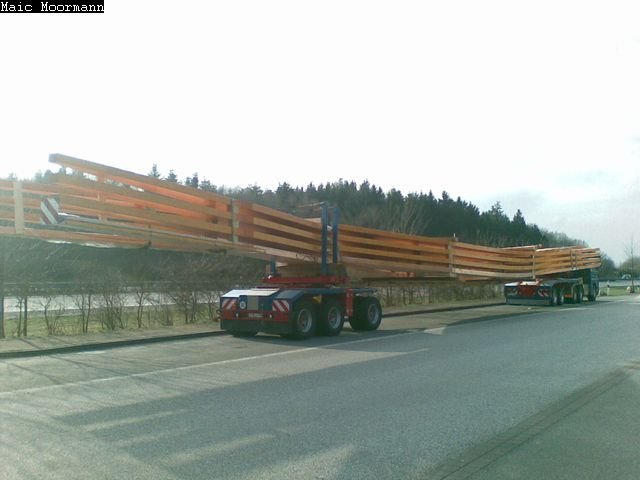 30032010798