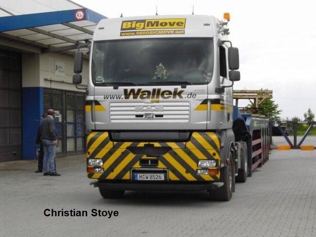 20081119 1656479465 wallek -22