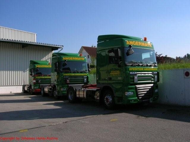20071229 1722417899 angermayer 5[1]