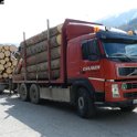 Volvo FM12.460 Holzhaengerzug Gruber TA455EH
